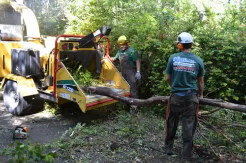 tree services Seward